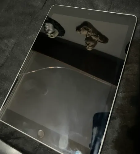 iPad 6 geração