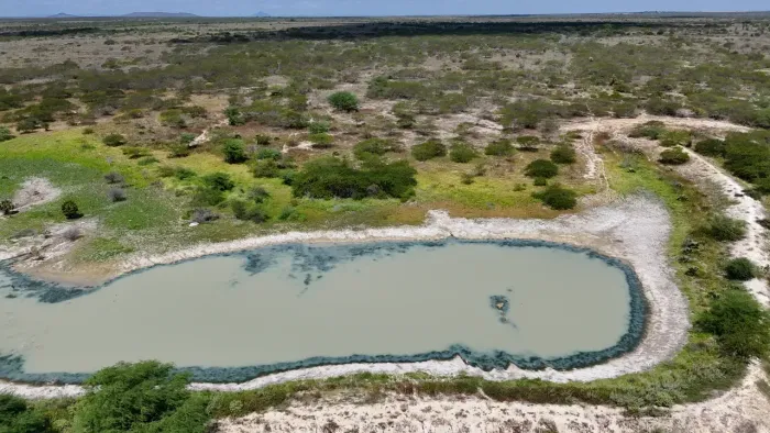 fazenda com 1.012 hectares na melhor região de pedro avelino uma propriedade versátil boa