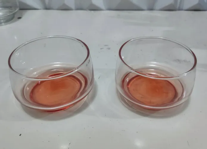 Kit com 2 taças de sobremesa