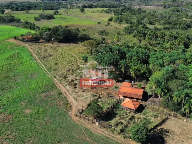 Fazenda 24,6 Alqueires (119,06 hectares) Acréuna - GO