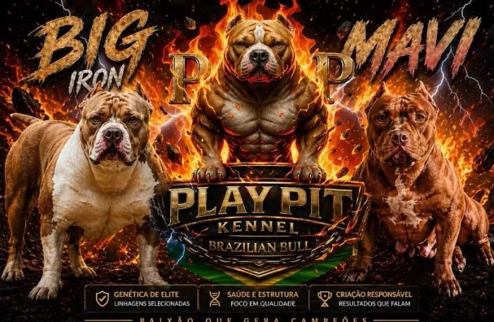 Filhotes de pit monster