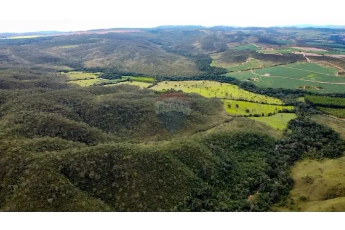 Fazenda de 195 hectares, com Eucaliptos.