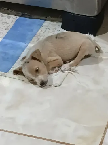 Doação 