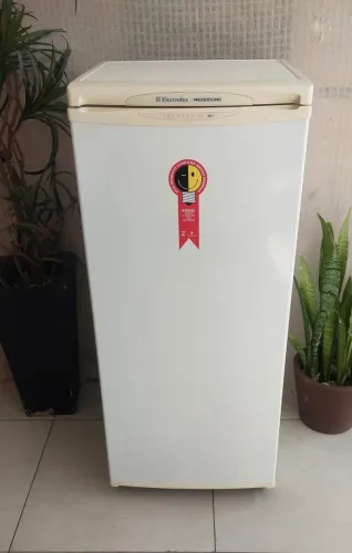 freezer eletrolux 110Volts 