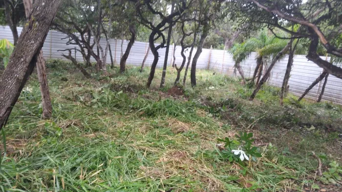 Jardim Botânico OPORTUNIDADE