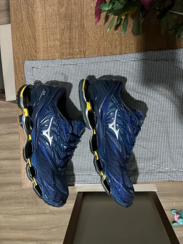 Mizuno Prophecy