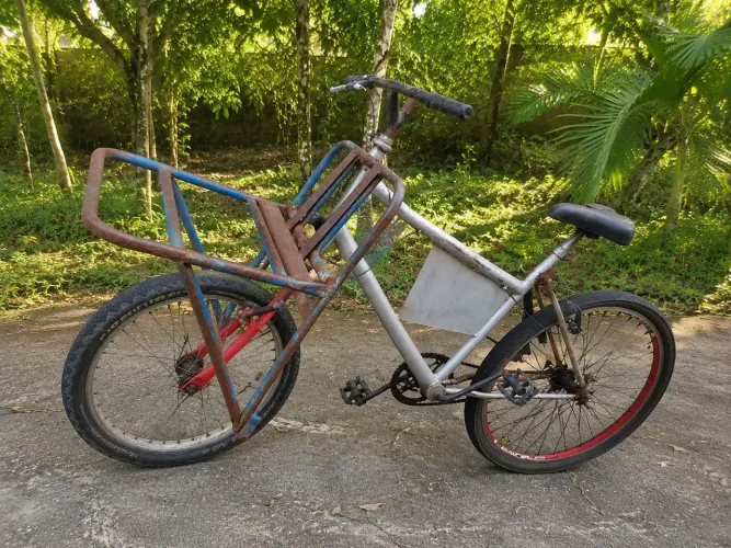 Bicicleta de carga