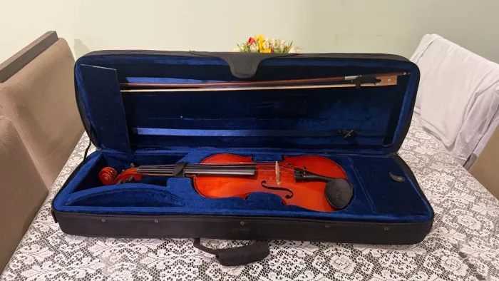 Violino Eagle 4/4 - cartão em até 18x