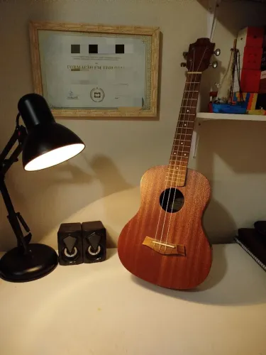 Ukulele Benson 