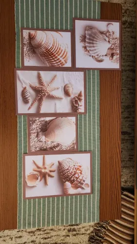 Kit quadros decorativos para enfeite de Conchas Marinhas Cor Marrom / Bege