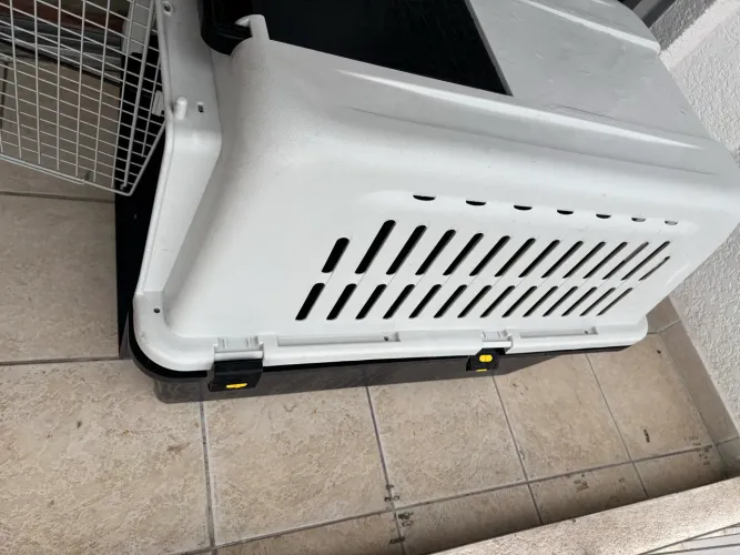 Caixa de transporte cachorro avião 