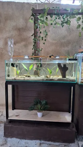 Aquario 90 litros completo 