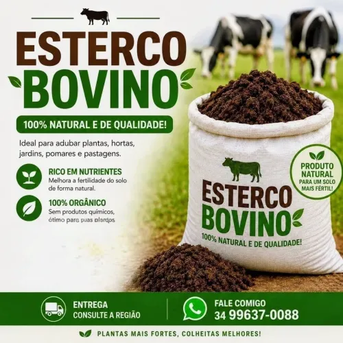 Esterco bovino