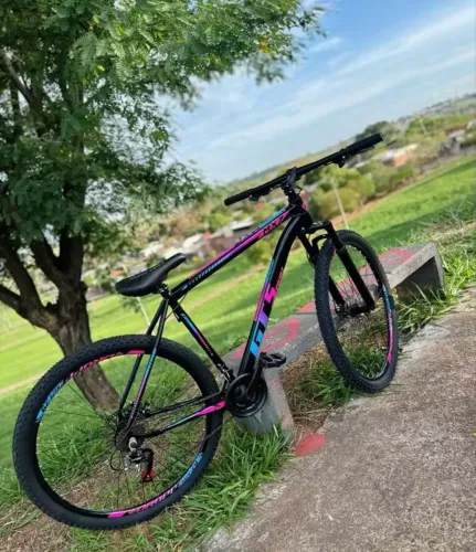 Bicicleta Aro 29