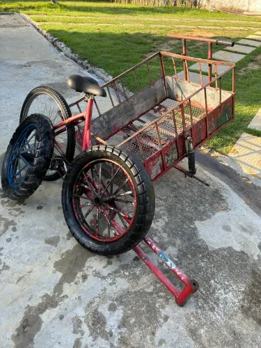 Bicicleta de carga