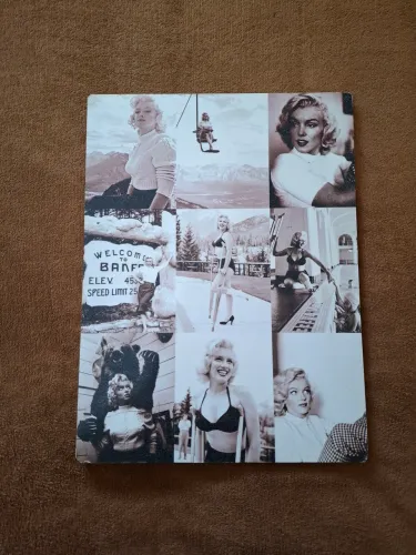 Placa quadro Marilyn Monroe com fotos raras