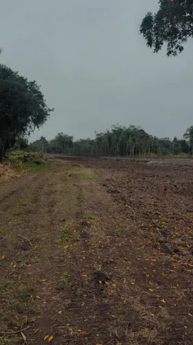 TERRENO A VENDA - ITAPOCU/SC - 200MTS DO RIO !! OPORTUNIDADE
