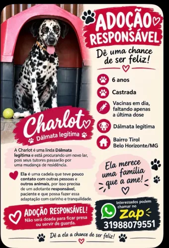 Doando Dalmata legítima