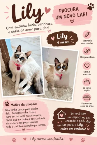 Linda gatinha