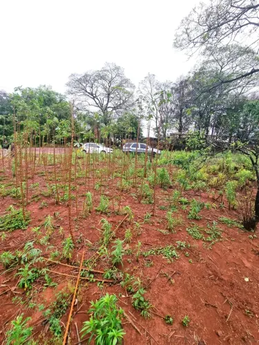 INVISTA NO SEU FUTURO: Terreno Perfeito para Seu Projeto dos Sonhos!