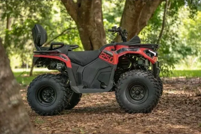 QUADRICICLO DAKAR 300 CILINDRADA. 