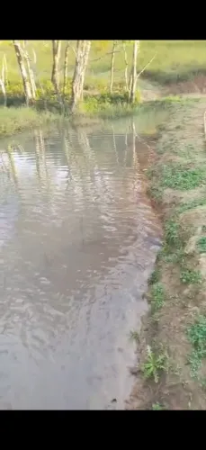 Sítio
