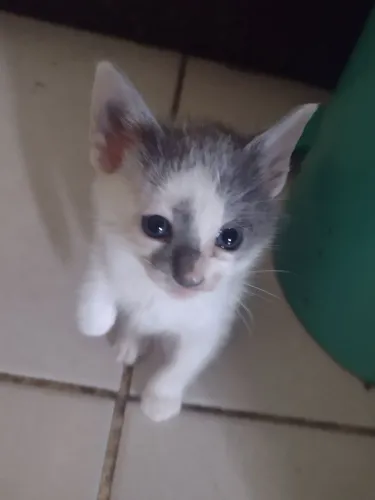 Doação responsável 