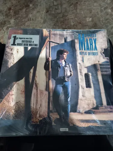 Disco de Vinil Richard Marx com Encarte