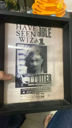 Quadro Harry Potter com efeito lenticular