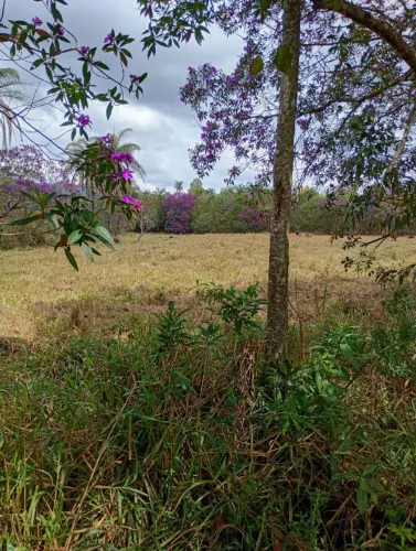 Terreno de 1650 mts em serra azul 