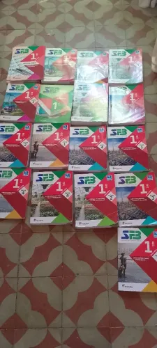 Livros Didáticos 1º Ano SFB - 16 Livros + 4 Aprova ENEM