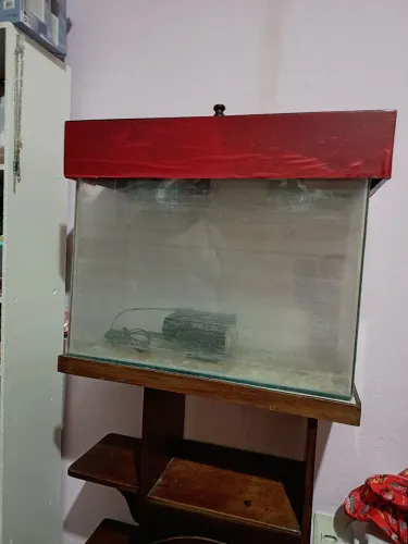 Aquário 50L