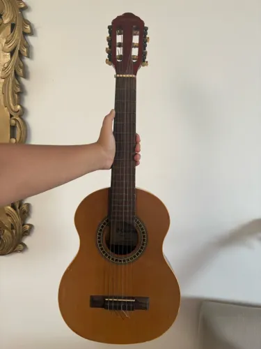 Violão Infantil Giannini GWNX R N 