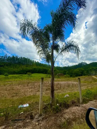 Terreno com energia * Apenas 65 mil entrada 