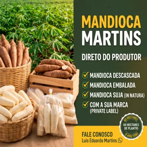 MANDIOCA FRESCA DIRETO DA ROÇA ? ATACADO E REVENDA