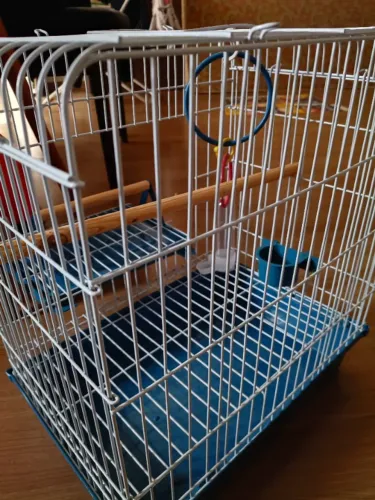 Gaiola Jet Plast Pet Piu calopsita