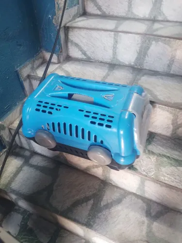 Casinha Gato ou cachorro pequeno