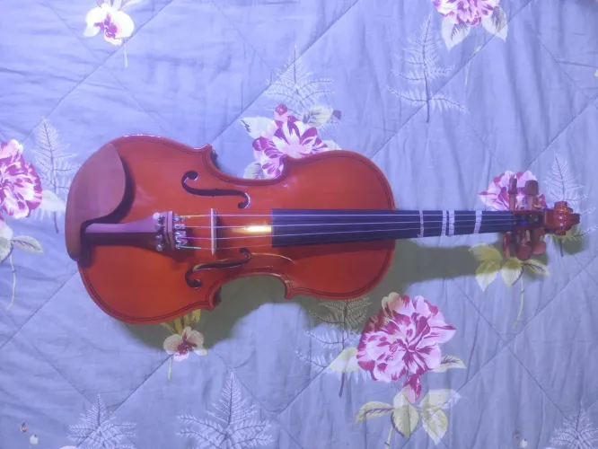 Violino Hofma HVE231