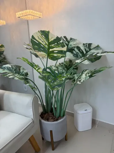 PLANTA DECORATIVA + VASO