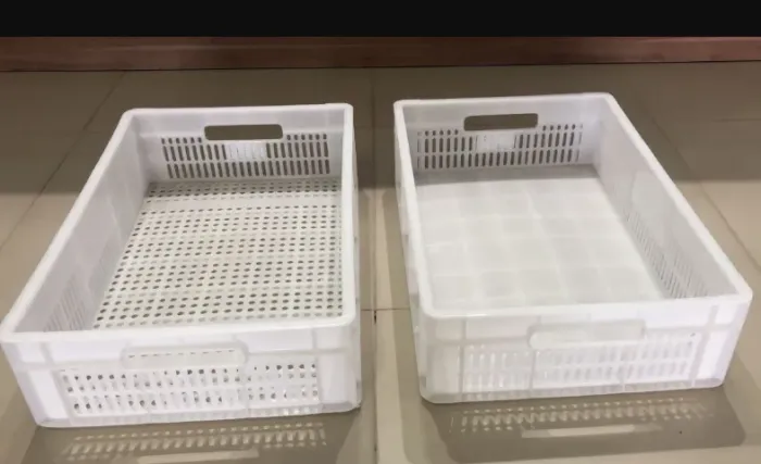 Caixas plásticas para Congelamento de alimentos