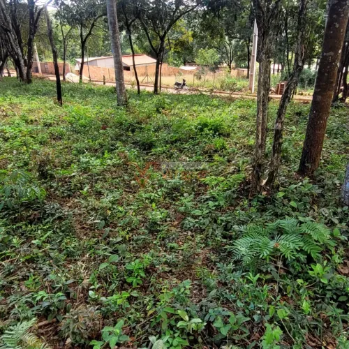 Lote à Venda Parque dos Coqueiros, Itatiaiuçu/MG