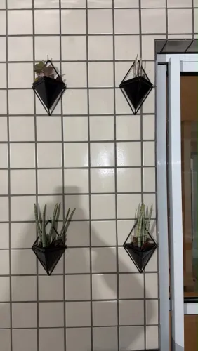 Vasinhos de parede triângulo