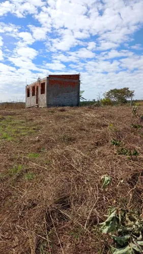 Vendo ou troco chácara 2hectares 