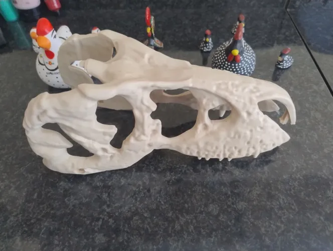 Crânio Dinossauro T-Rex RBA Monte seu dinossauro