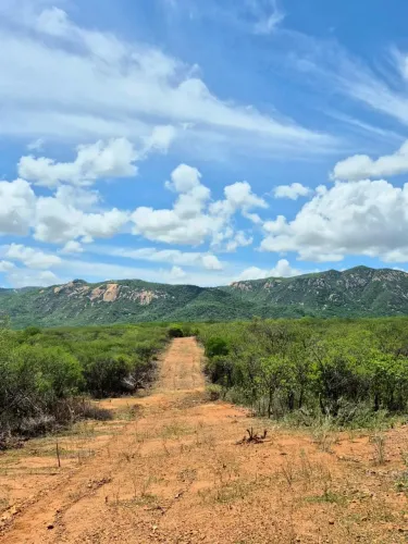 Lotes para Chácara com entrada zero (R$ 0,00) a 9 km da entrada de São José do Bonfim-PB