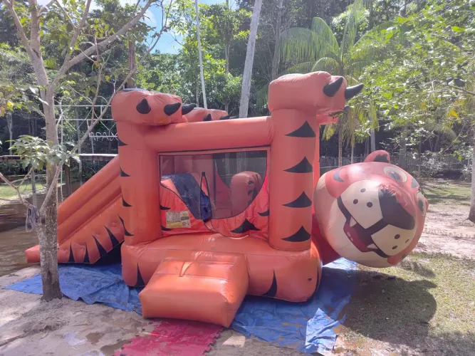 Vendo brinquedos infláveis 