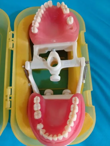 Vendo manequim de dentistica