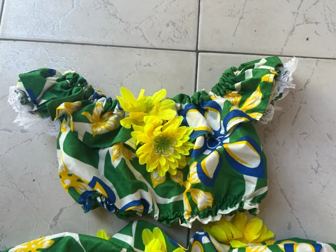 Vende-se conjunto de carimbó do Brasil 