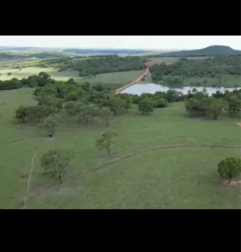 Fazenda top pra pecuária muita água é excelente localização