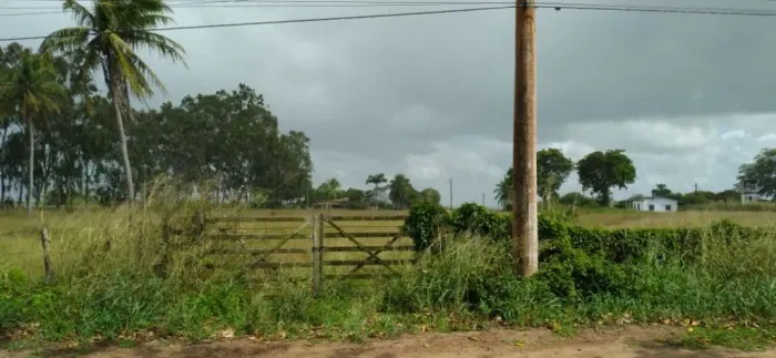 Fazenda à venda, 345000 m² por R$ 1.200.000,00 - Centro - Monte Alegre/RN